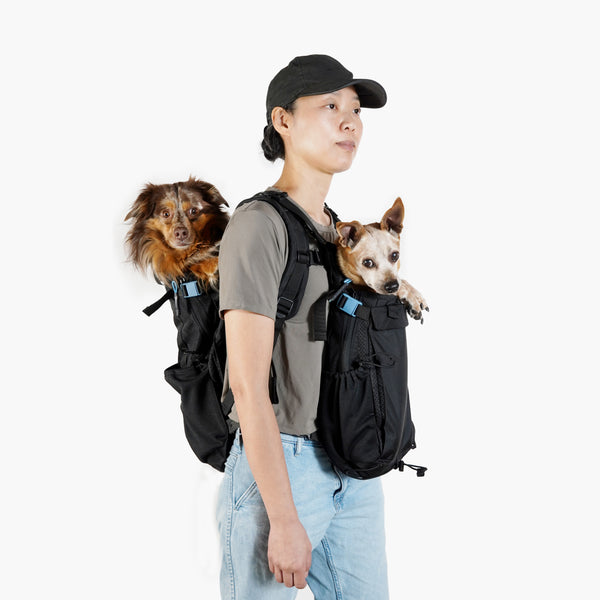 Dual Carry Backpack